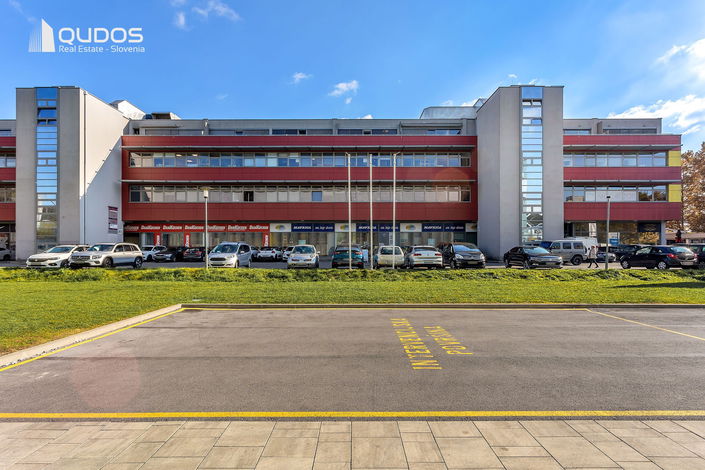 Lokacija: Ljubljana mesto, Vič-Rudnik, Rudnik