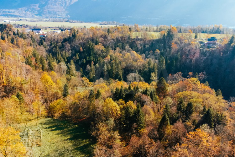 Location: Goriška, Bovec, Bovec