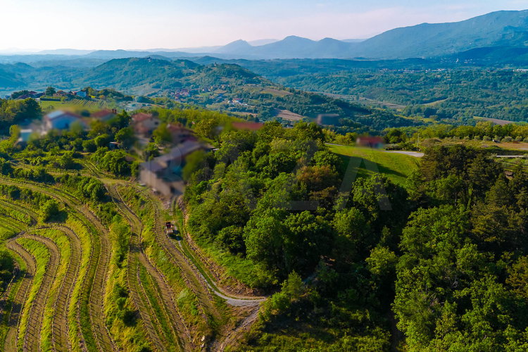 Lokacija: Goriška, Nova Gorica, Branik