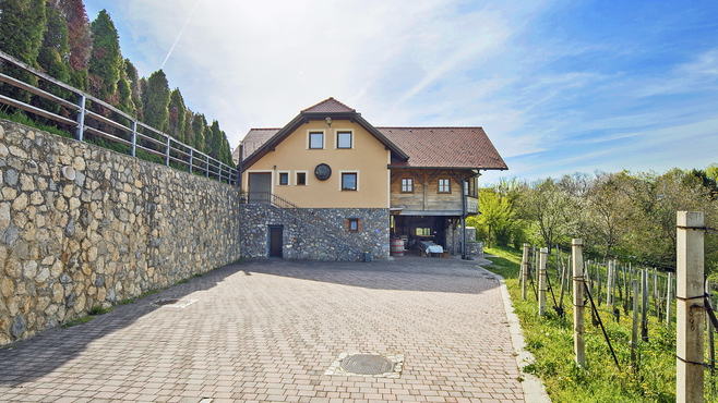 Dolenjska, Raka - Gelegenheit für eine Investition mit außergewöhnlichem Potenzial: Etabliertes Tourismusobjekt mit Weinbautradition