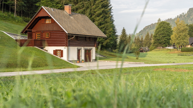 Detached log cabin made of solid wood in the village of Koprivnik, Bohinj