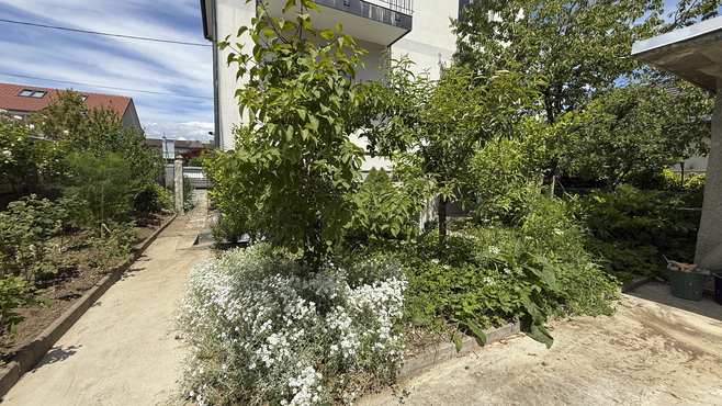 Fully renovated bright apartment with atrium and garden