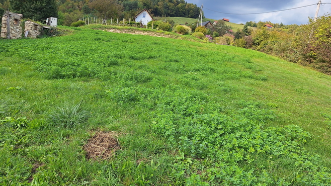 Sevnica, Krajna Brda – Großes Anwesen mit 52.700 m² und Entwicklungspotenzial für einen Bauernhof, eine Ranch oder einen Familiensitz