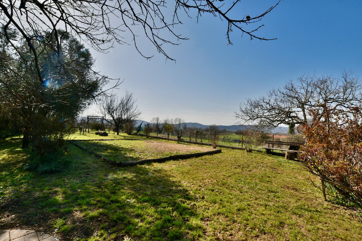 dsc-7367
