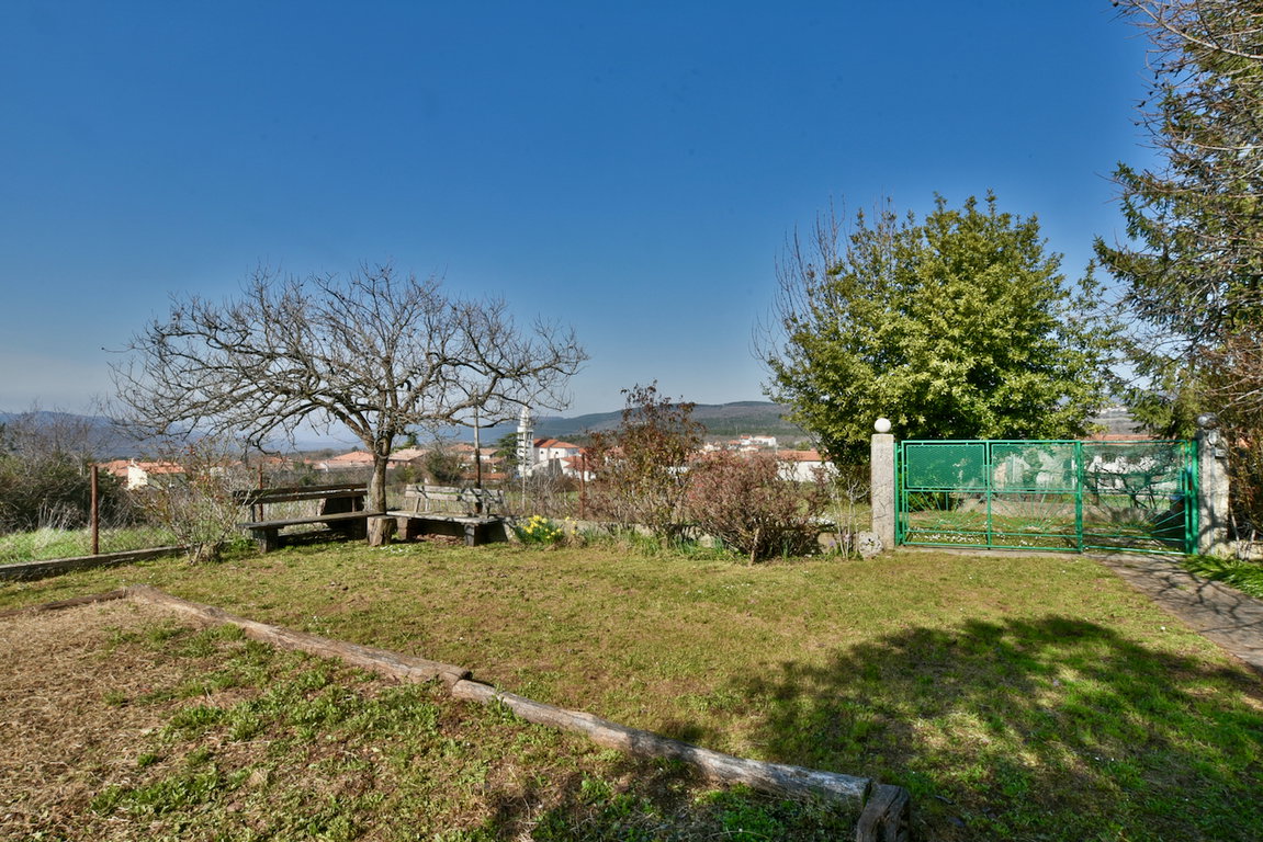 dsc-7369