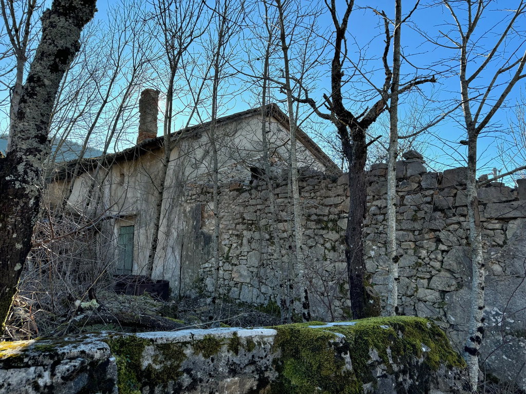 img-0246