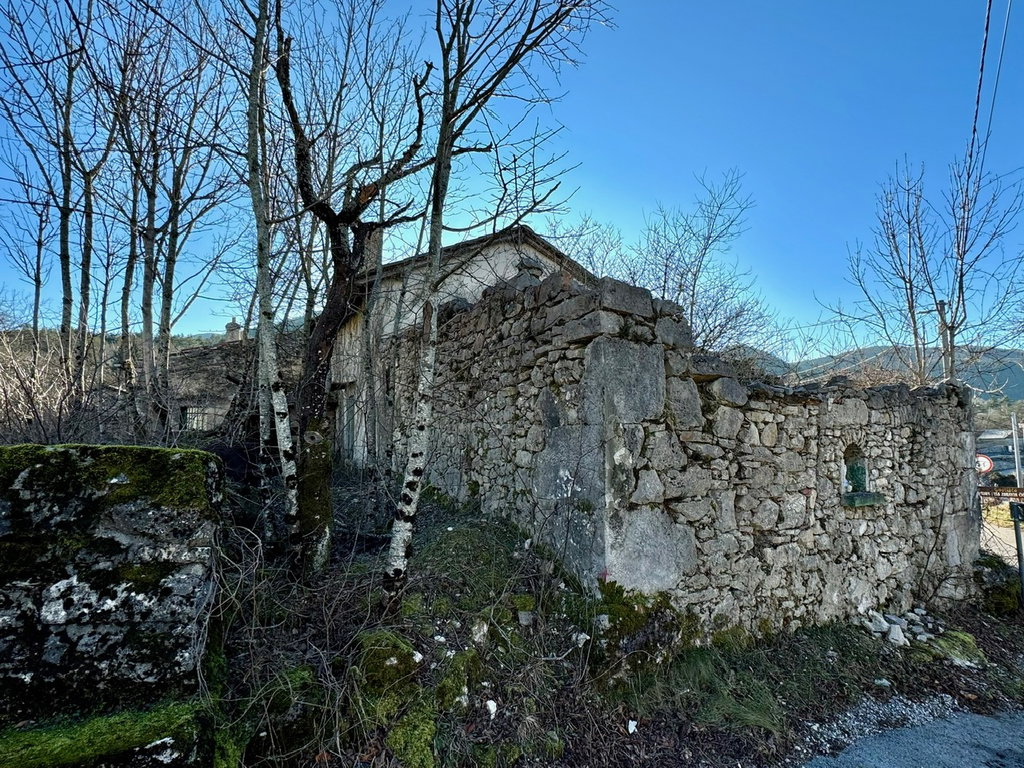 img-0247
