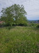 Lokacija: Gorenjska, Škofja Loka, Škofja Loka