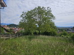 Lokacija: Gorenjska, Škofja Loka, Škofja Loka