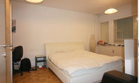 Location: Ljubljana City, Bežigrad, Brinje
