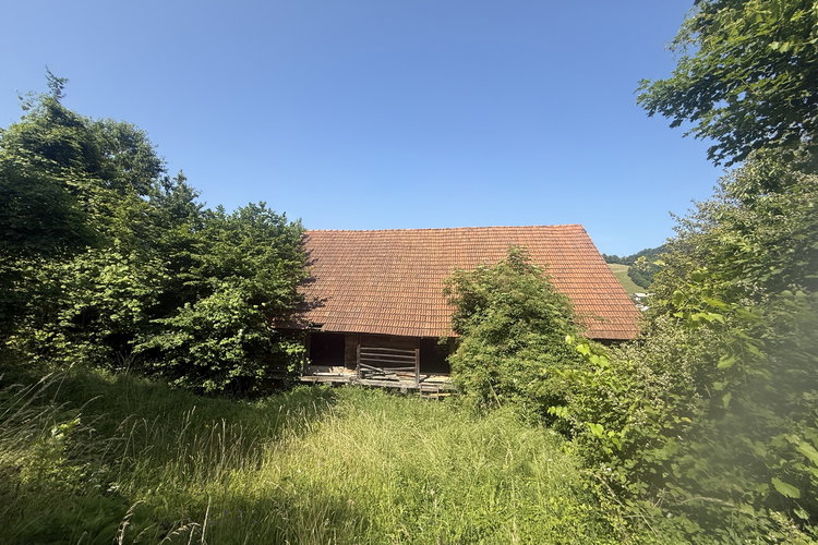 Lokacija: Savinjska, Šentjur, Dobrina