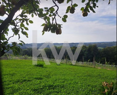 Lokacija: Pomurska, Sveti Jurij ob Ščavnici, Sovjak