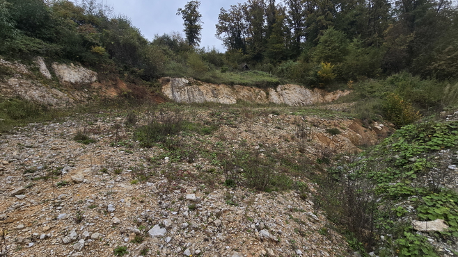 Lokacija: Savinjska, Polzela, Podvin pri Polzeli