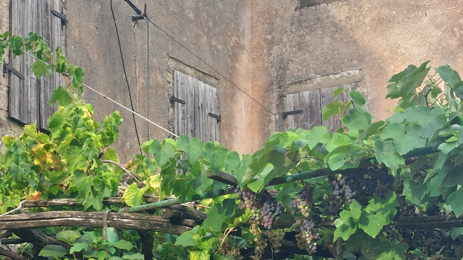 Lokacija: Obalno - kraška, Piran, Sečovlje