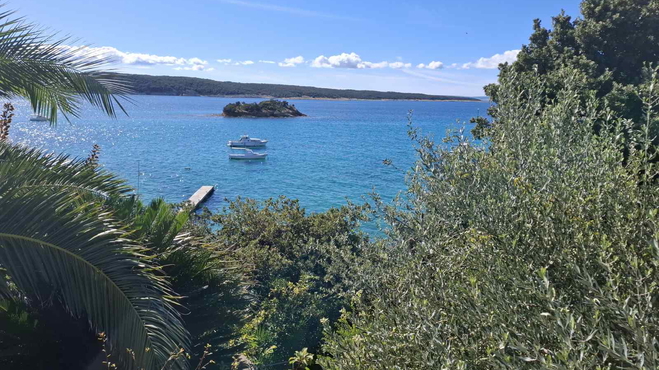 Lokacija: Hrvaška, Primorsko-goranska županija, Rab, Supetarska Draga