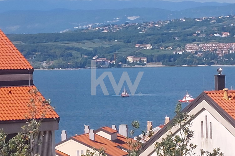 Location: Obalno - kraška, Koper, Markovec