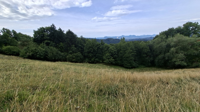 Lokacija: Savinjska, Vojnik, Frankolovo