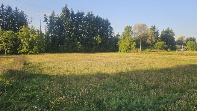 Lokacija: Ljubljana okolica, Brezovica, Brezovica pri Ljubljani