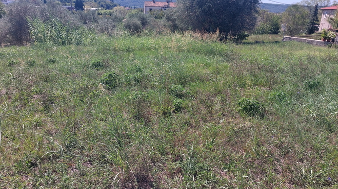 Lokacija: Obalno - kraška, Piran, Parecag