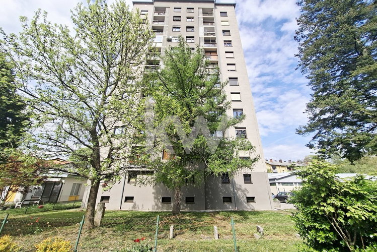 Lokacija: Savinjska, Celje, Otok
