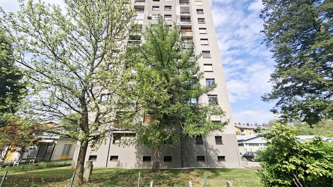 Lokacija: Savinjska, Celje, Otok