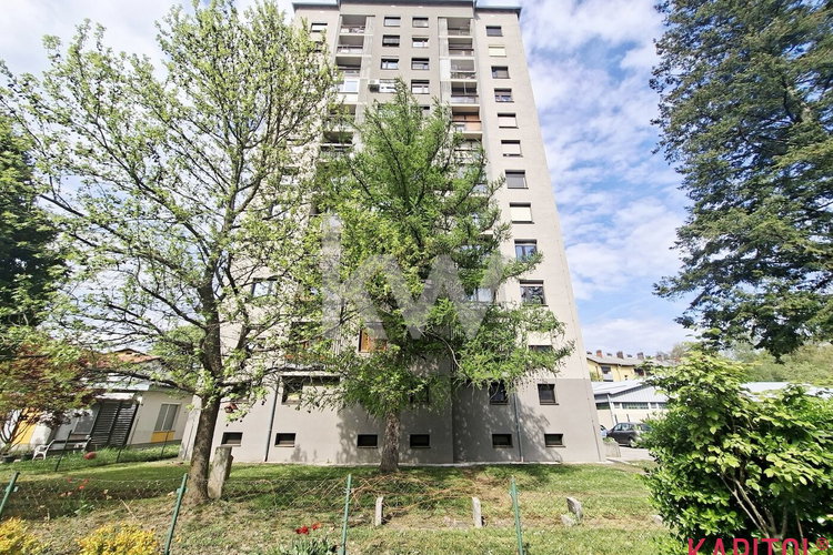 Location: Savinjska, Celje, Otok