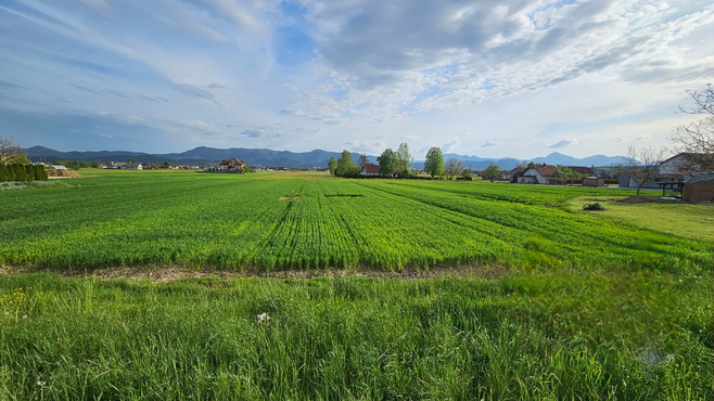 Lokacija: Savinjska, Vojnik, Arclin