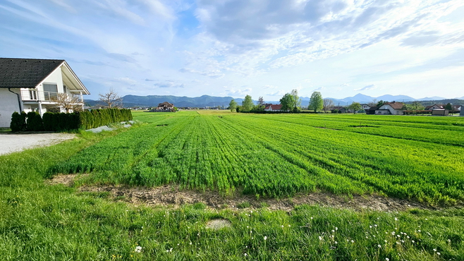 Lokacija: Savinjska, Vojnik