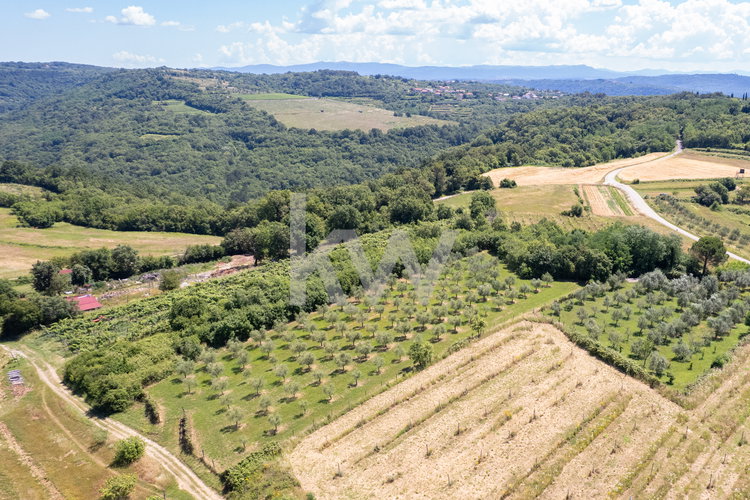 Location: Obalno - kraška, Piran, Nova vas nad Dragonjo