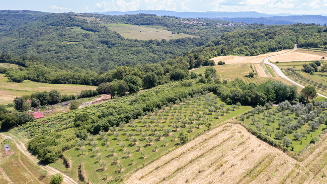 Lokacija: Obalno - kraška, Piran, Nova vas nad Dragonjo