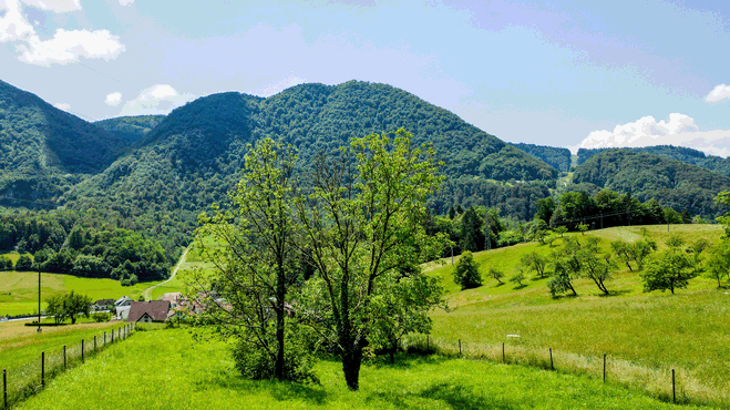 Lokacija: Savinjska, Celje, Okolica