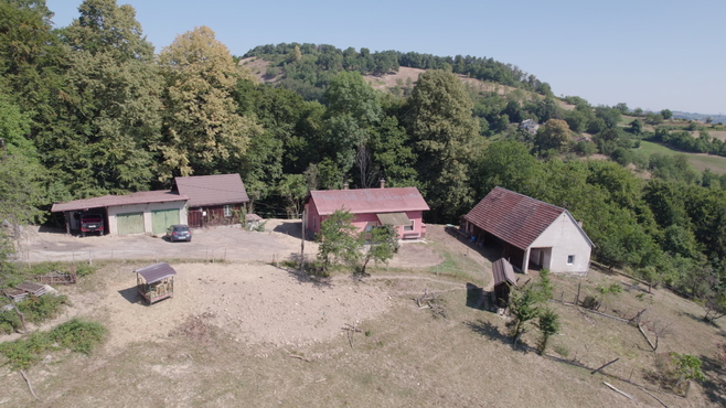 Lokacija: Podravska, Maribor, Maribor