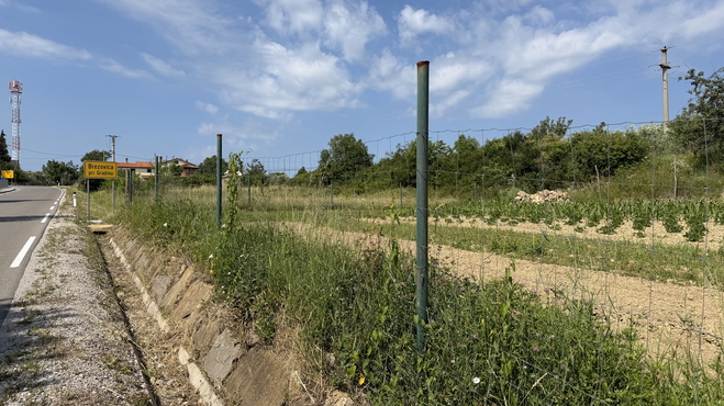 Lokacija: Obalno - kraška, Koper, Brezovica pri Gradinu