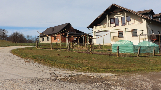 Lokacija: Podravska, Benedikt, Benedikt