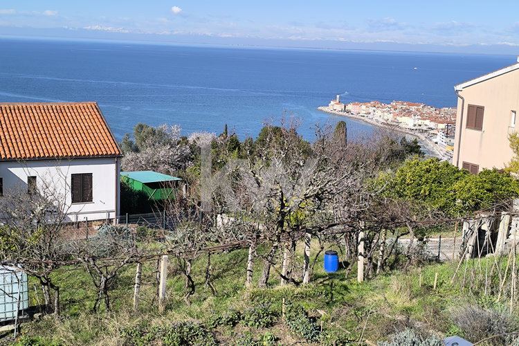 Location: Obalno - kraška, Piran, Piran/Pirano
