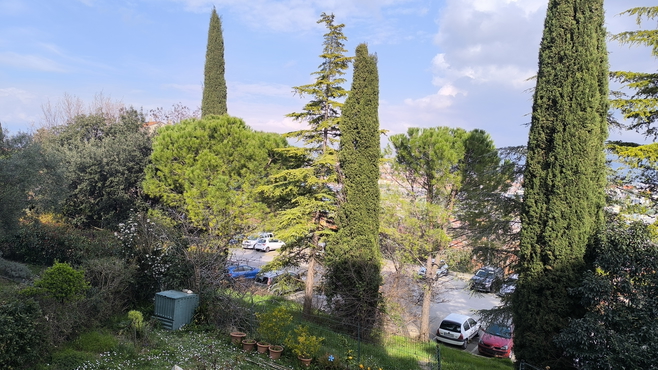 Lokacija: Obalno - kraška, Koper, Koper