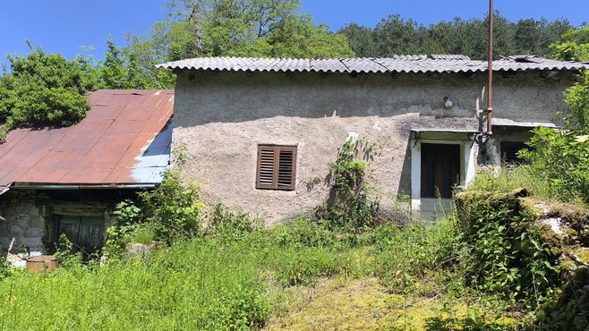 Lokacija: Obalno - kraška, Hrpelje - Kozina, Kozina