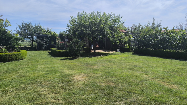 Lokacija: Obalno - kraška, Piran, Nova vas nad Dragonjo