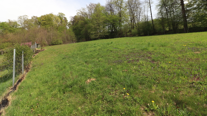 Lokacija: Pomurska, Gornja Radgona, Police