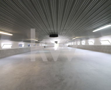 Lokacija: Podravska, Ptuj, Krčevina pri Vurbergu