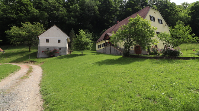 Lokacija: Podravska, Pesnica, Počenik