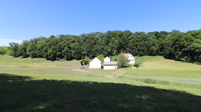 Lokacija: Podravska, Pesnica, Počenik