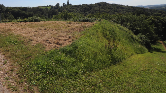 Lokacija: Podravska, Trnovska vas, Bišečki Vrh