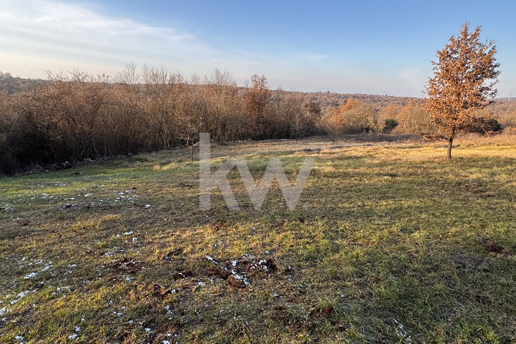 Location: Hrvaška, Istarska županija, Buje, Gamboci