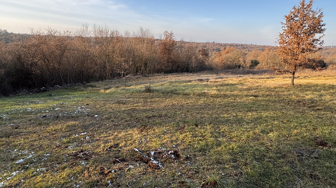 Lokacija: Hrvaška, Istarska županija, Buje, Gamboci