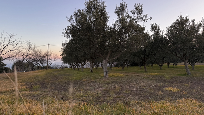 Lokacija: Obalno - kraška, Izola, Jagodje