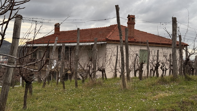 Lokacija: Obalno - kraška, Koper, Koper