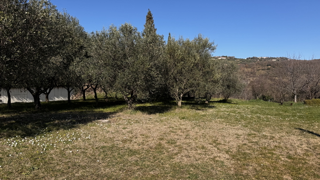 Lokacija: Obalno - kraška, Piran, Piran/Pirano