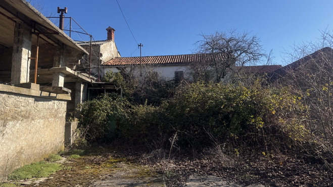 Lokacija: Obalno - kraška, Koper