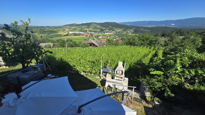 Lokacija: Jugovzhodna Slovenija, Šmarješke Toplice, Gorenja Vas pri Šmarjeti